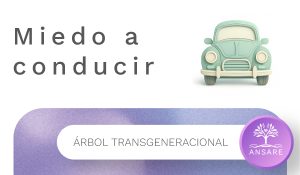 Artículo miedo a conducir